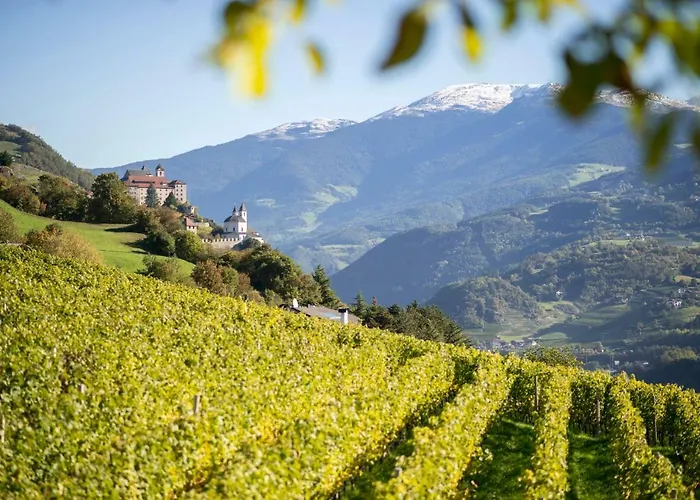 Larcher - Meinhard 梅拉诺